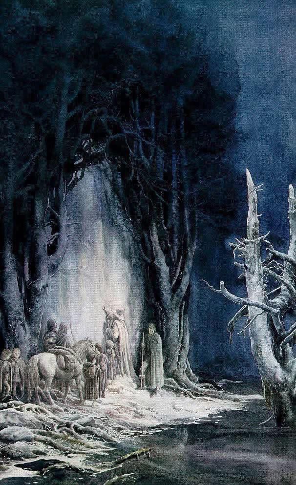 Best of Tolkien tweet media