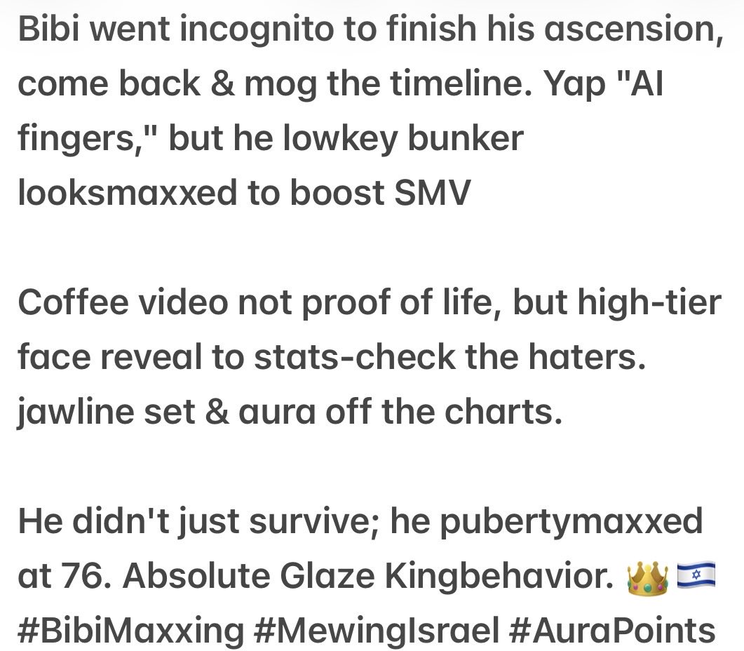 SailorBliss's tweet image. #BibiMaxxing #MewingIsrael #AuraPoints