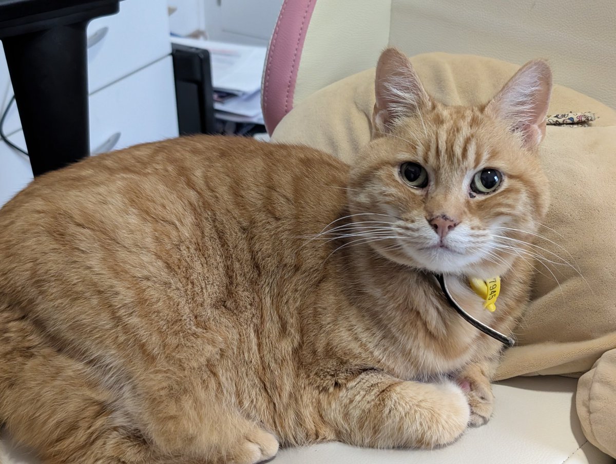 eight / 30 more years! 30 more years! 30 more yea tweet media