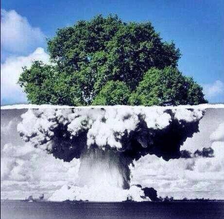 Türkçü ‎ 𐰀𐰢 tweet media