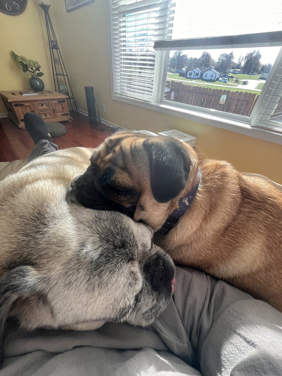 Vegasfan1970 tweet media