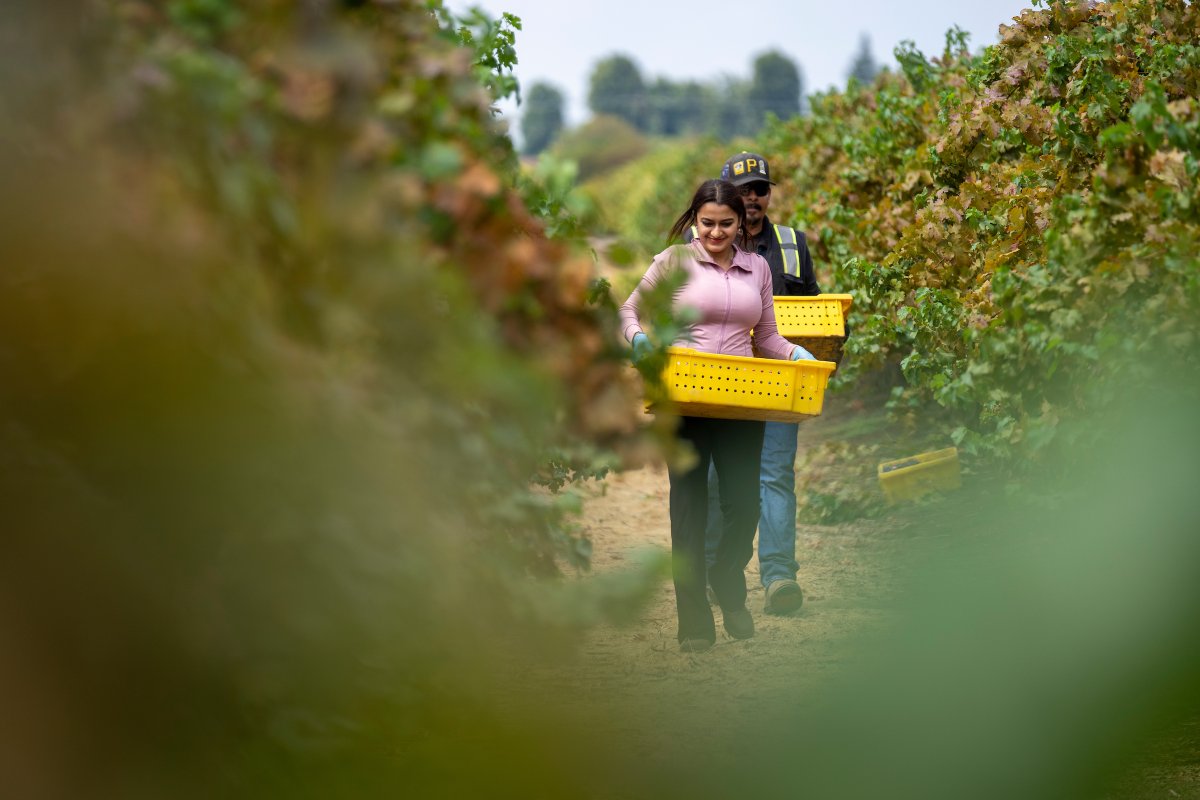 Fresno State JCAST tweet media