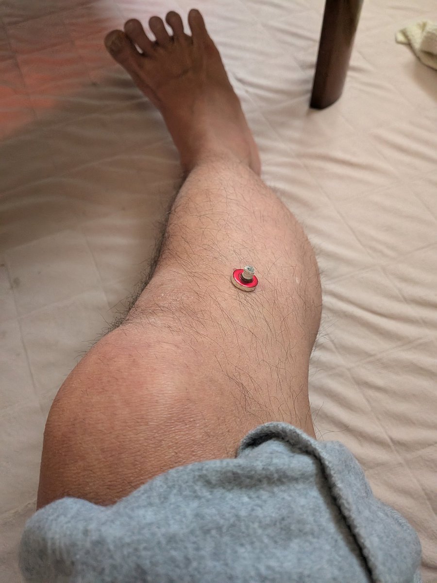 プロ餅 tweet media