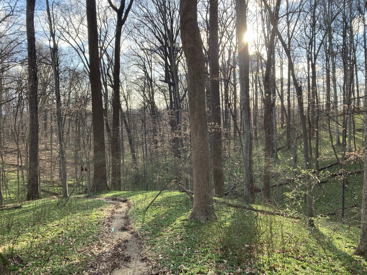 Chris H. Lynn tweet media