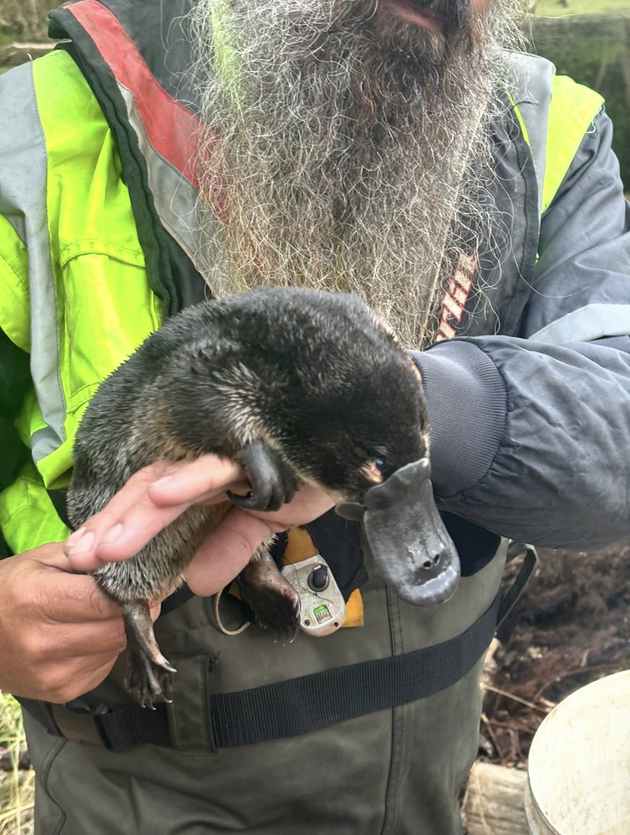 Glenelg Hopkins CMA tweet media