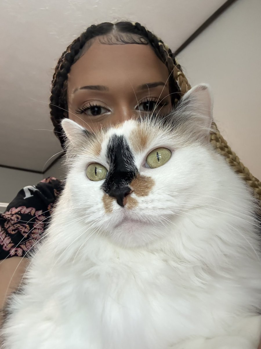 amina❀ tweet media