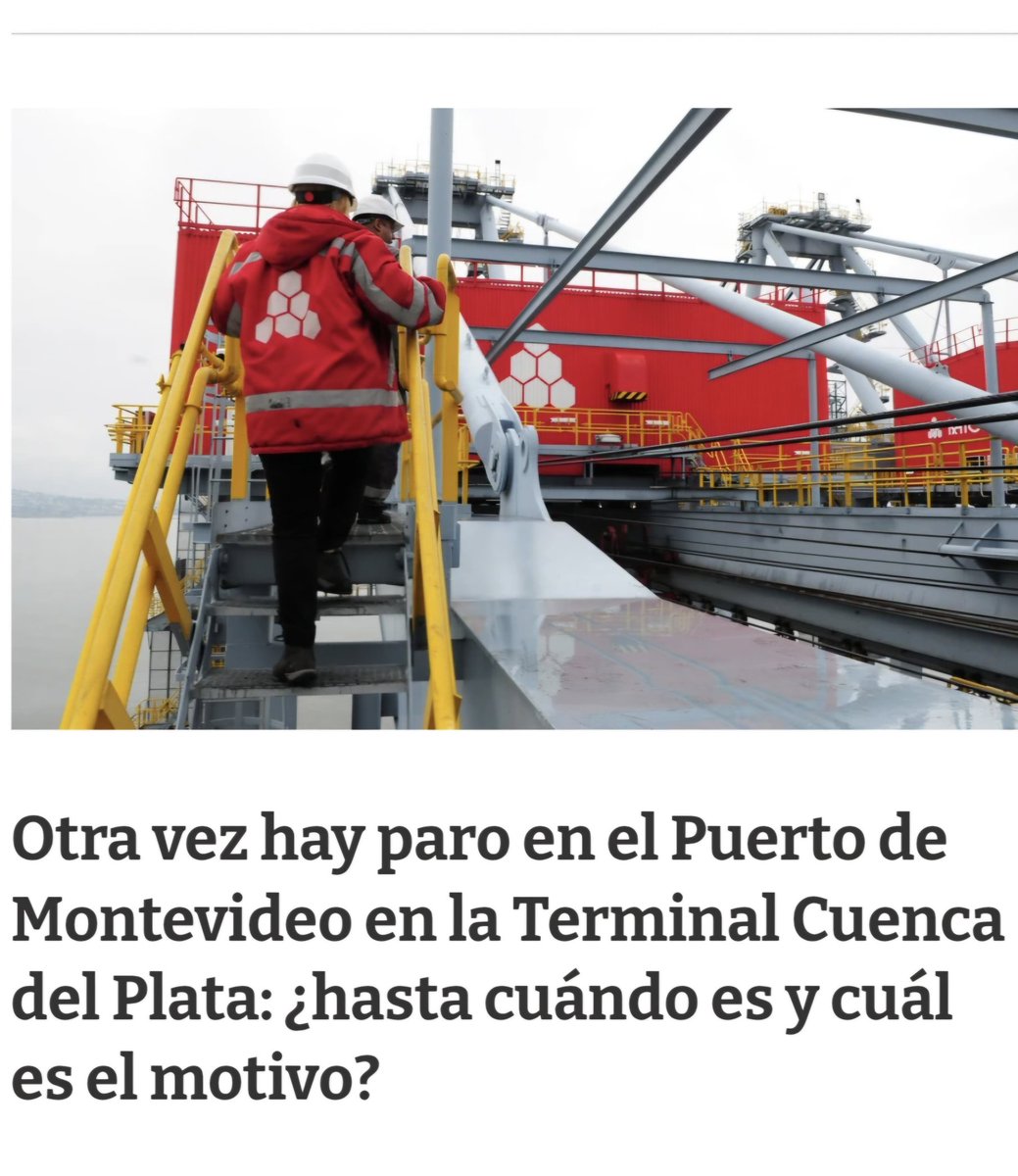 daniela leoni tweet media