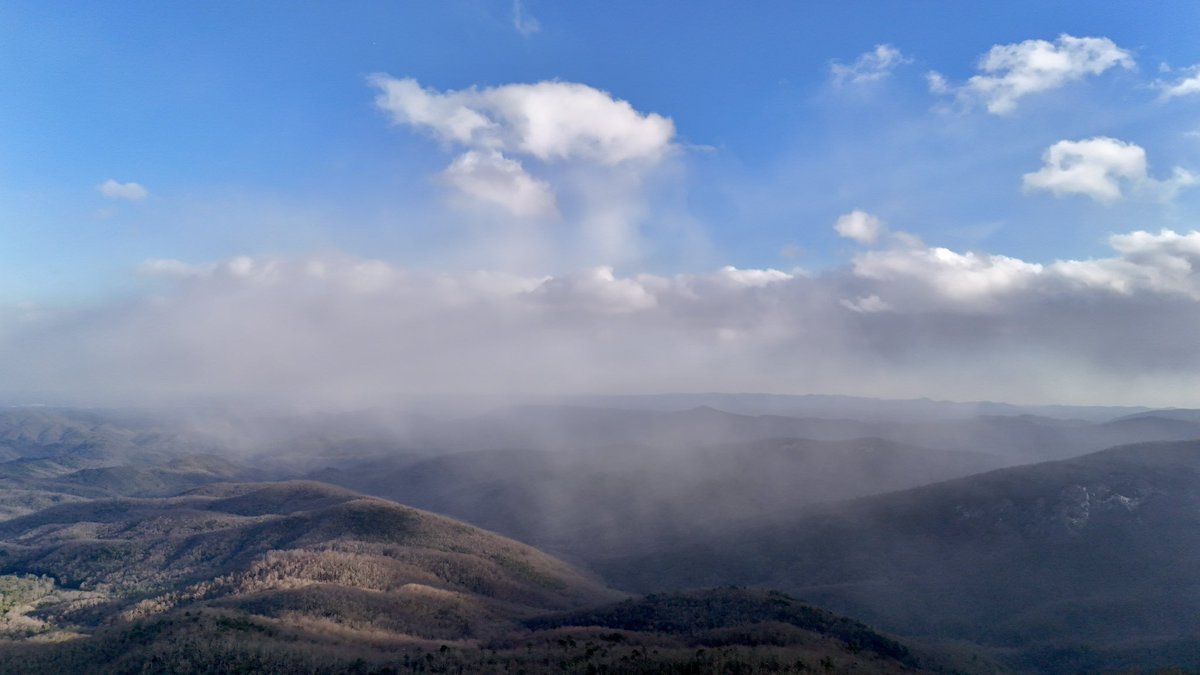 Henry Burton tweet media