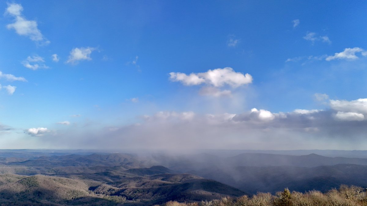 Henry Burton tweet media