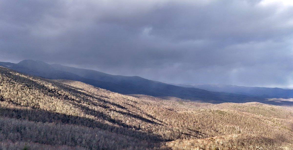 Henry Burton tweet media