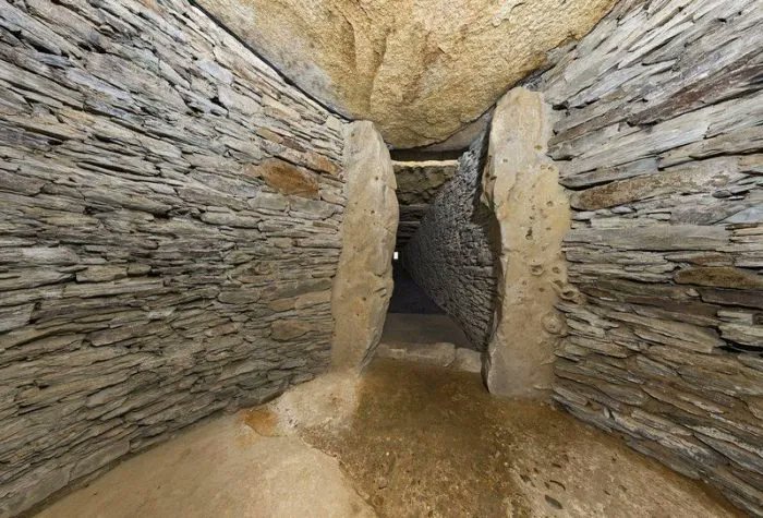 Jujo🌿 tweet media