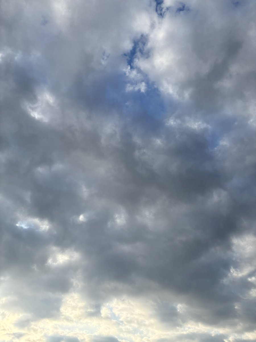 sumitch531's tweet photo. おはようございます！
朝から暖かくよい天気になりそう

今日はオンラインとリアルレッスンです

よい1日を＾＾
#イマソラ https://t.co/d7Q8vXcncO