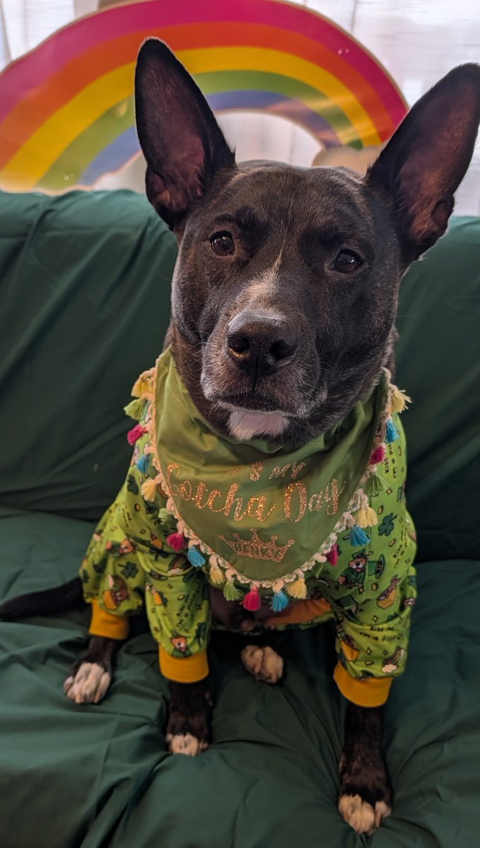 🐣🌷 Handsome Henry 🌷🐣 tweet media