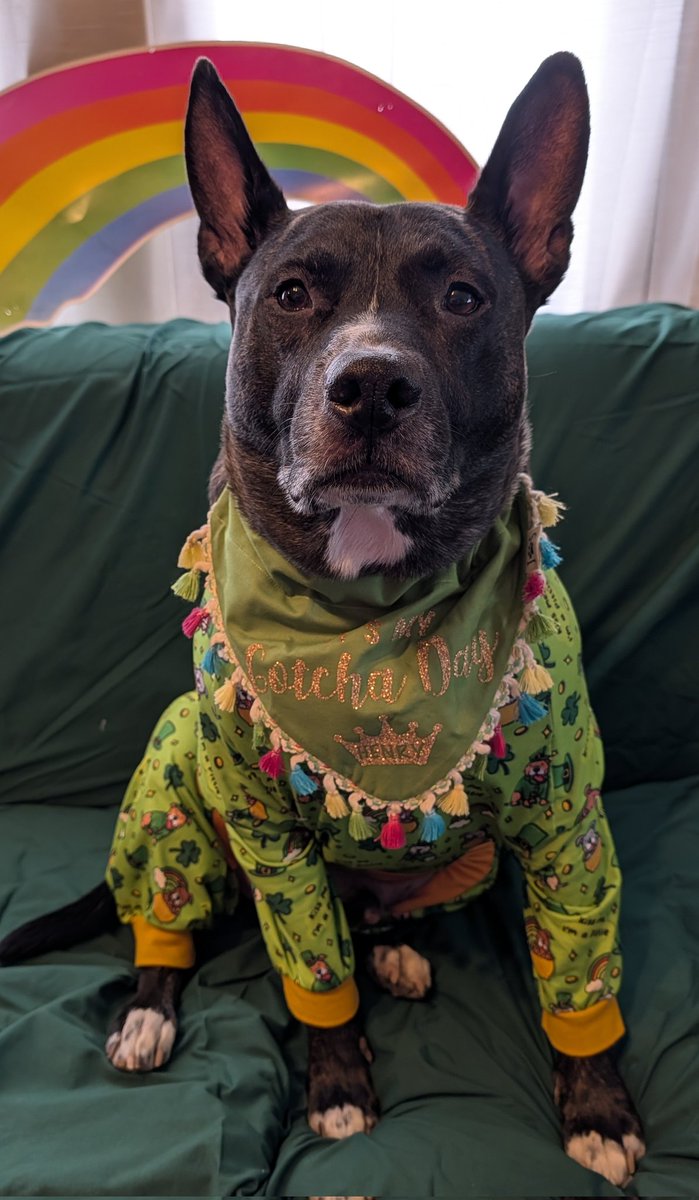 🐣🌷 Handsome Henry 🌷🐣 tweet media