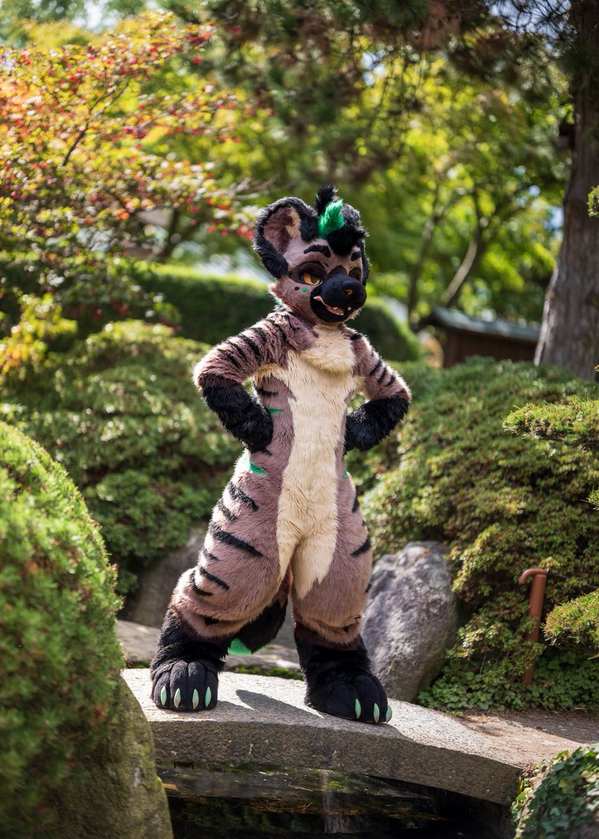 Swizz 🇮🇪 🔜 AnV tweet media