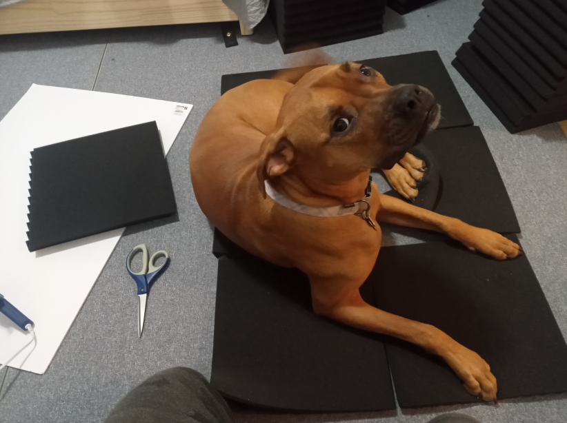 Stephane Hockenhull 🕹 tweet media