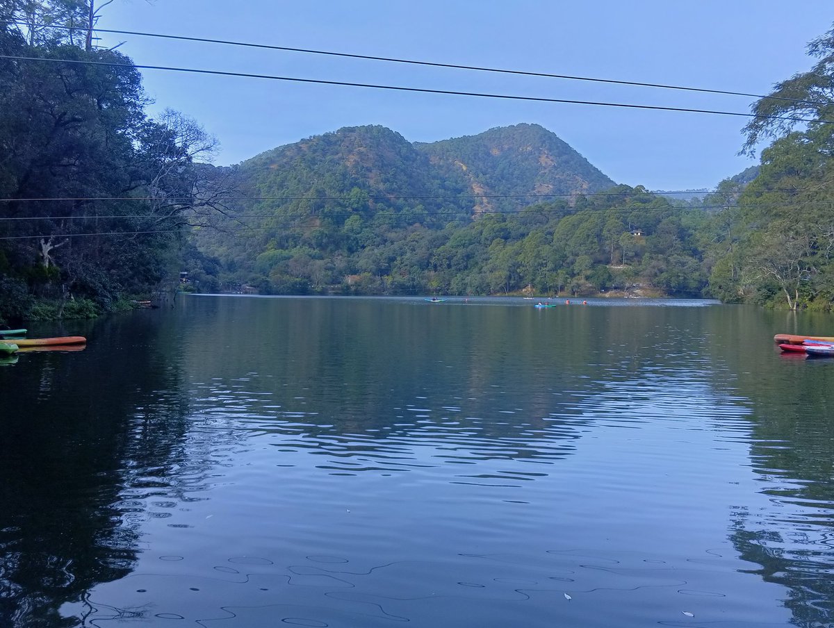 Reeta Pande tweet media