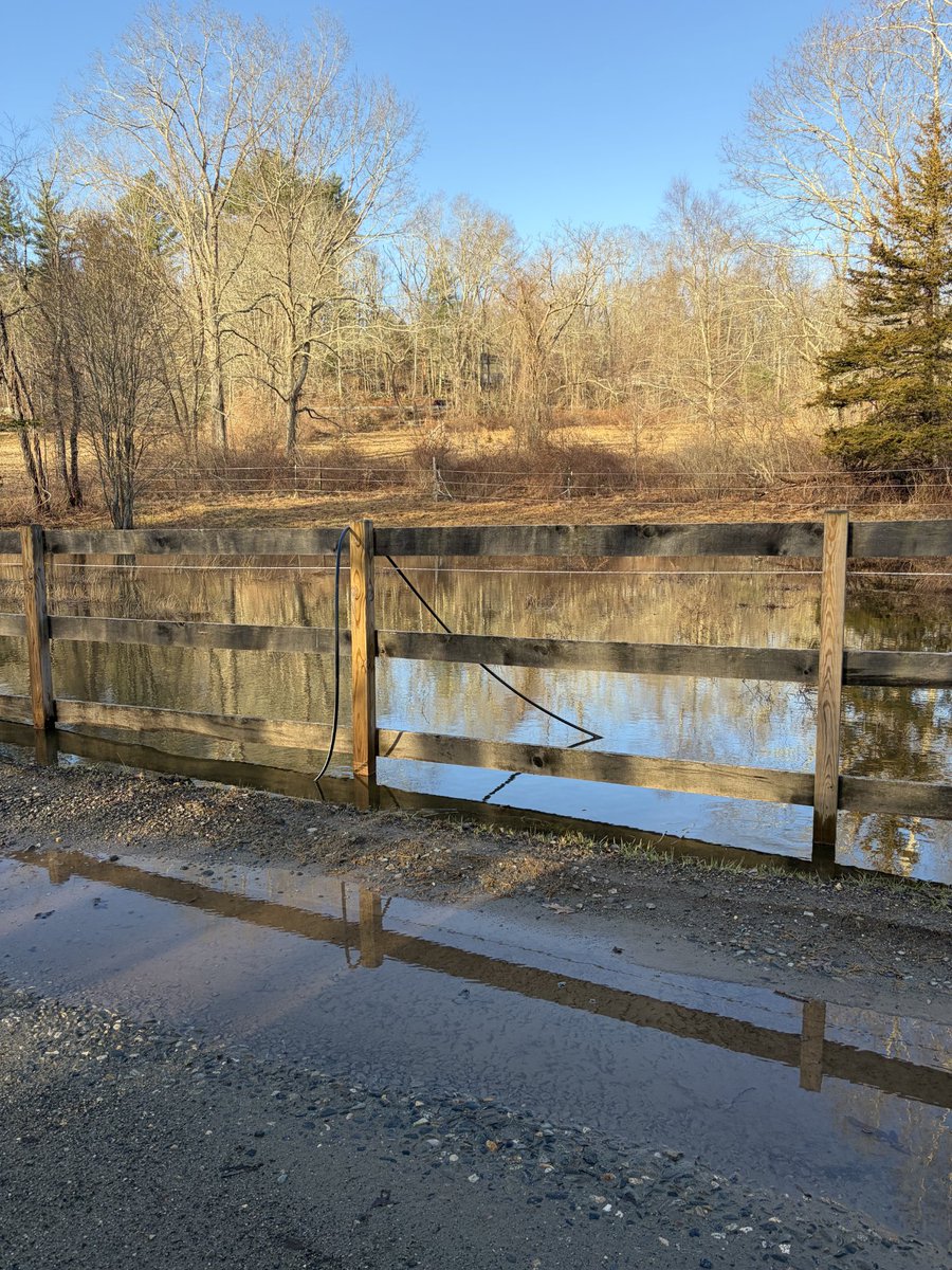 Riley Farm Rescue Ⓥ tweet media