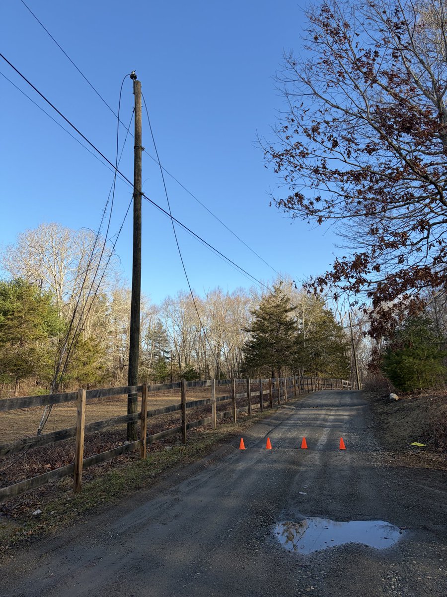 Riley Farm Rescue Ⓥ tweet media