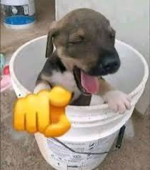 supervilla23 tweet media