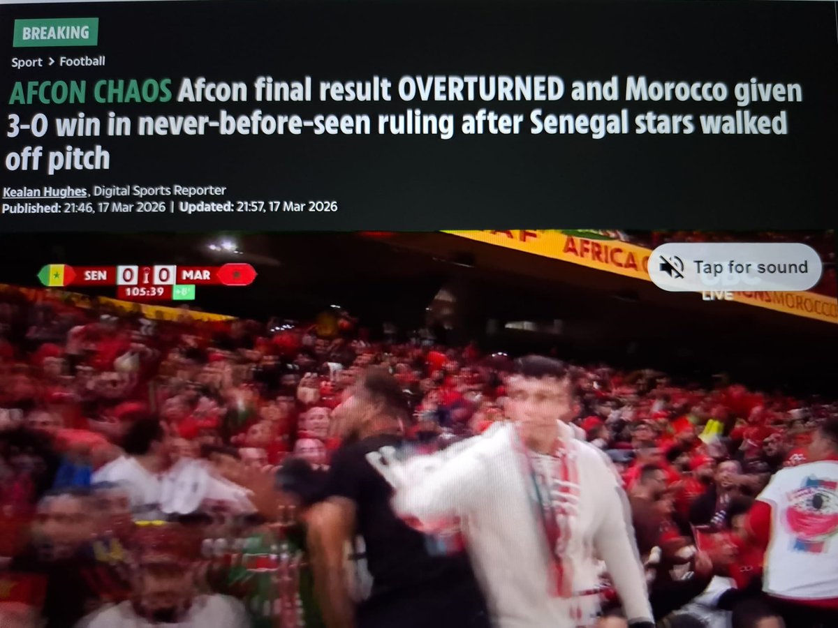 ID11™️ tweet media