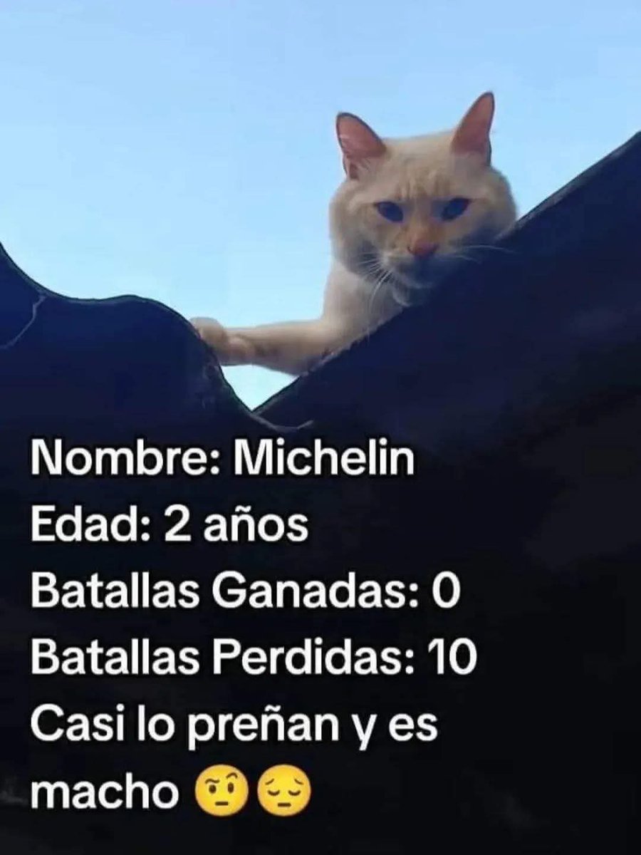 Animalitos en aprietos. tweet media