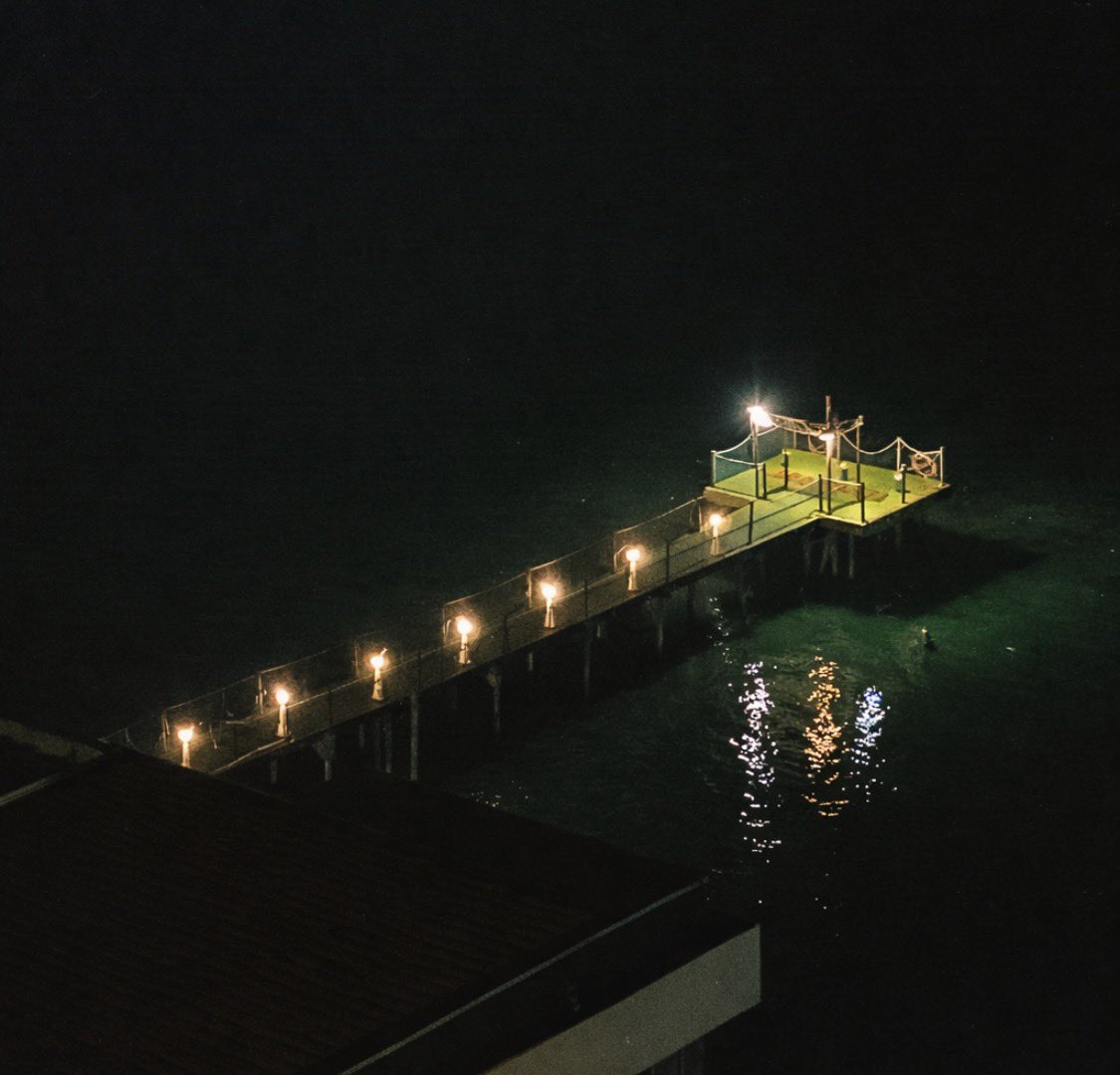 FlexasuarusRex La Creme 🦖 tweet media