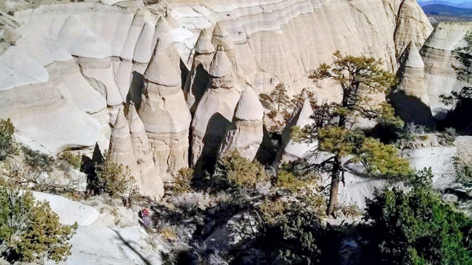 Loralee Logan 🌻🌻🌻 tweet media