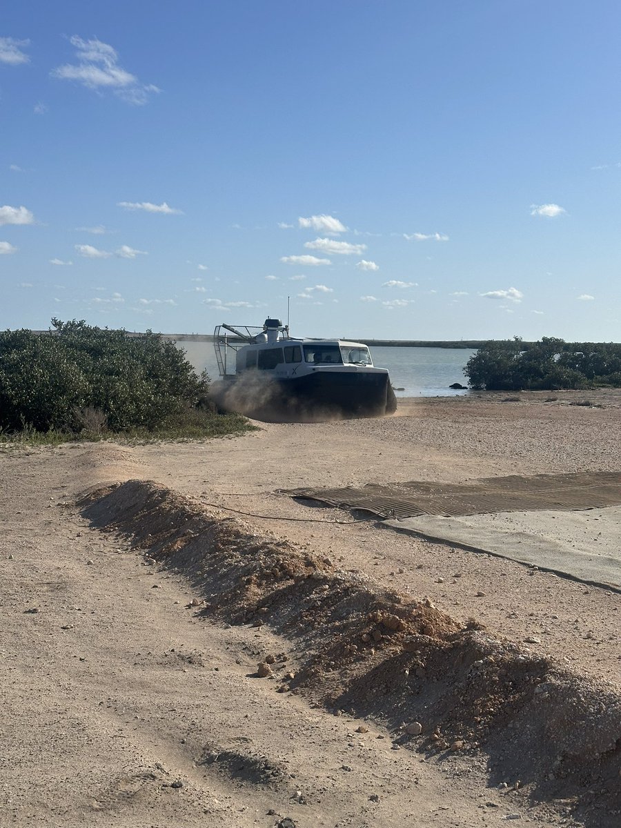 Mark Federschmidt tweet media