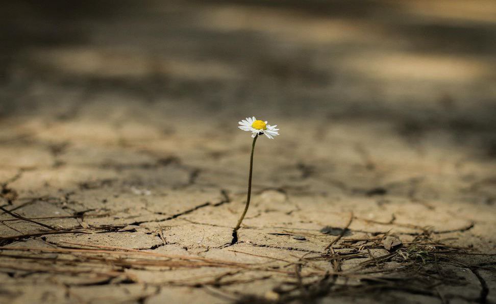 ‏🥇صمتــي حيـرة♕♡🥇 tweet media