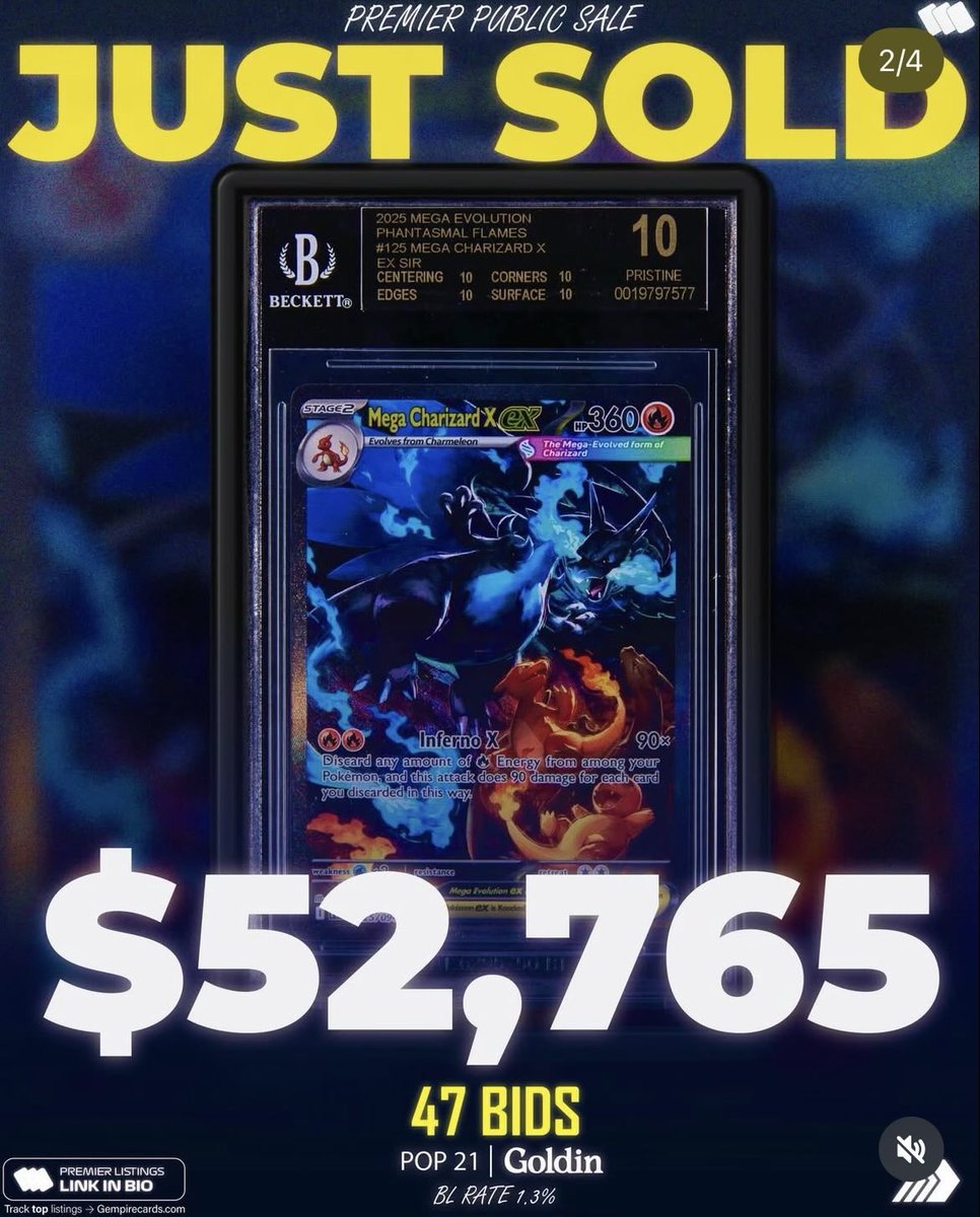 DachshundWizard 🧙♂️ tweet media