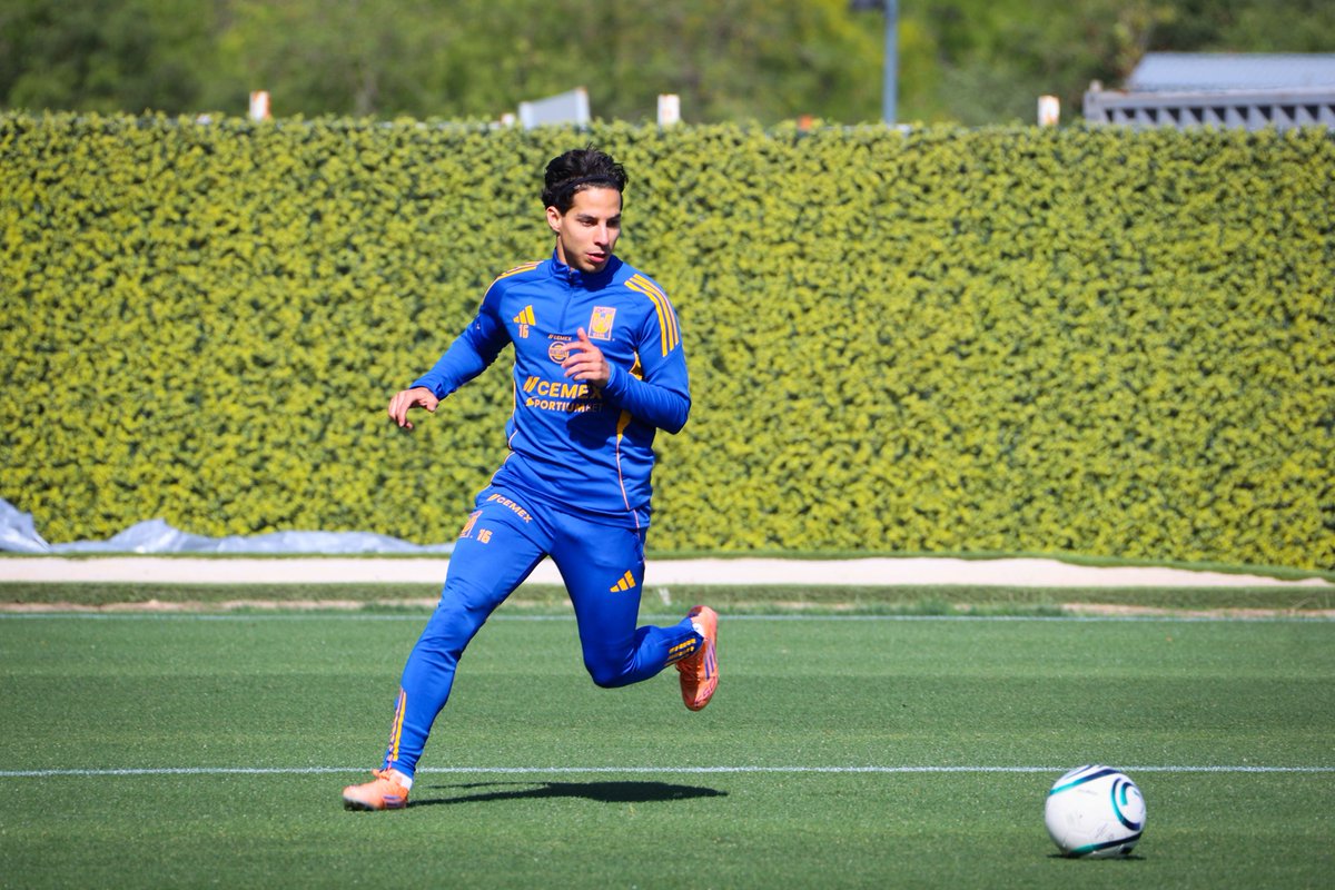 TigresOficial's tweet photo. '𝑭𝒂𝒄𝒕𝒐𝒓' 𝑳𝒂𝒊𝒏𝒆𝒛 🌪️ https://t.co/1JDjAWKkai