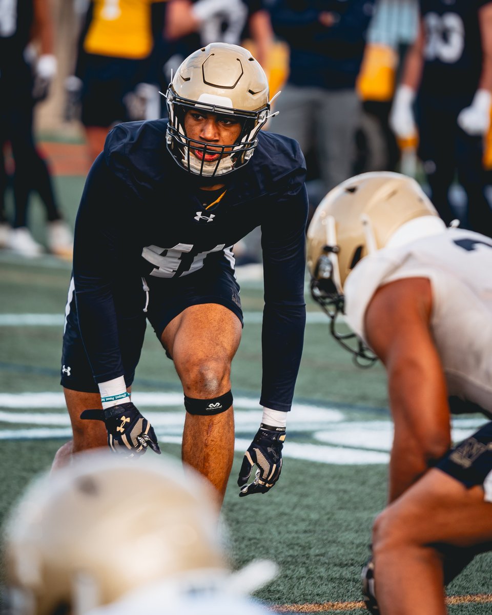 Navy Football tweet media