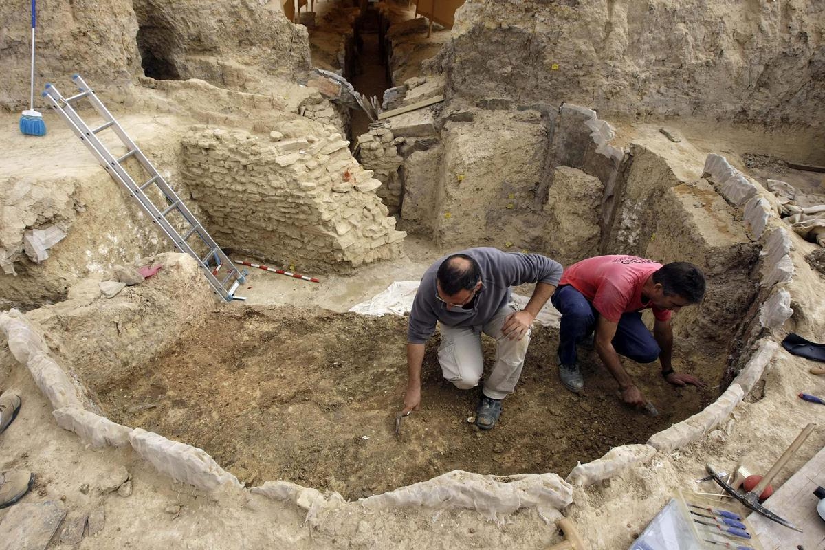 Jujo🌿 tweet media