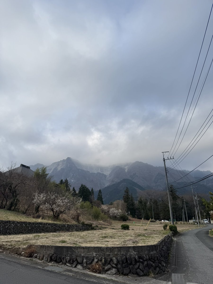 本日の武甲山
