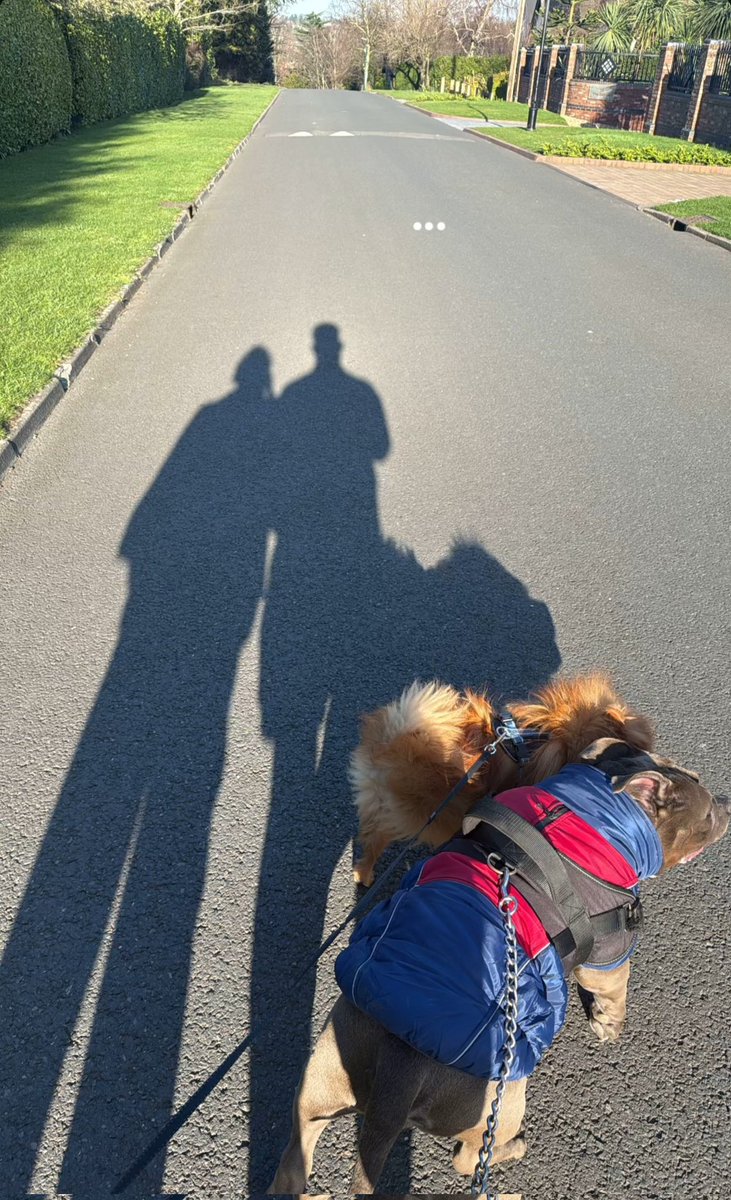 𝑫𝑶𝑼𝑮𝑰𝑬 tweet media