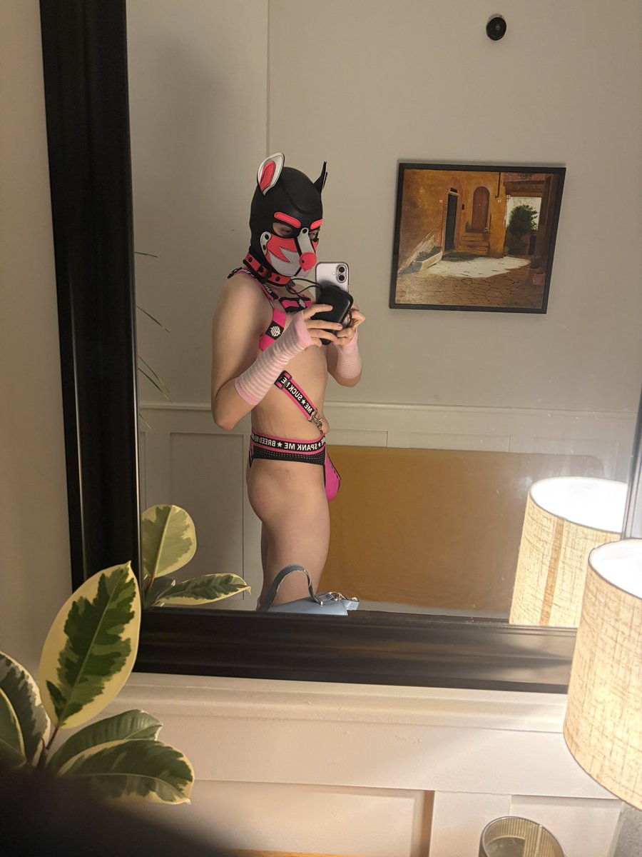 Spark ✨ tweet media