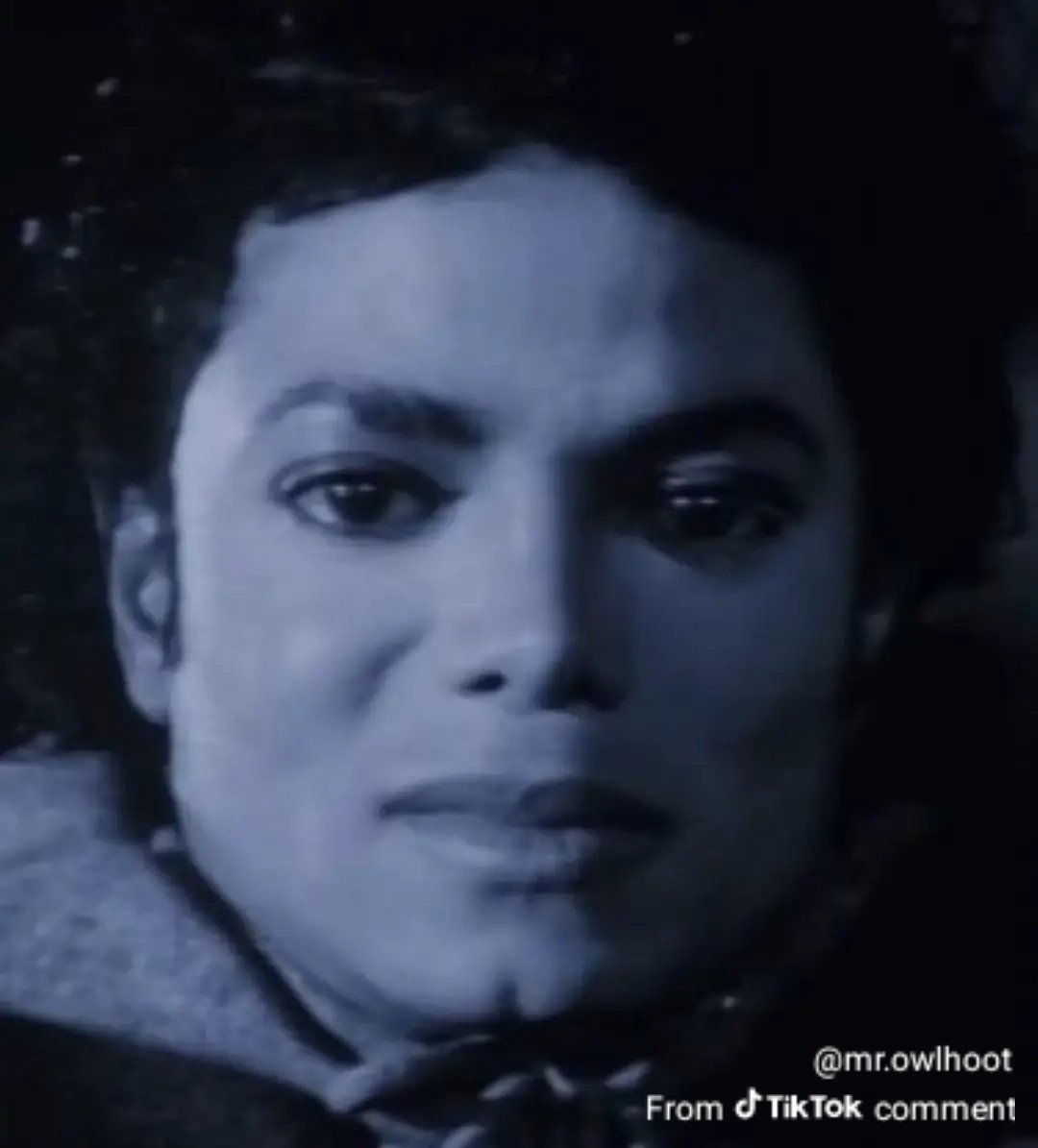 kesi the kitty tweet media