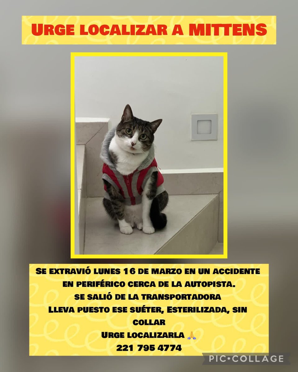Verónica López tweet media