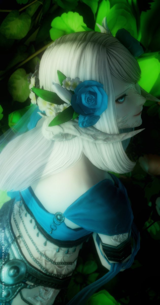 ステラノア tweet media