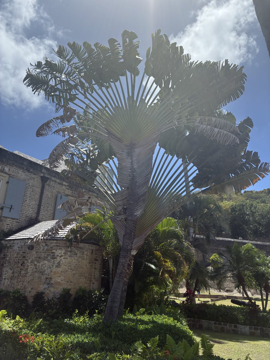 Joe Shoey tweet media