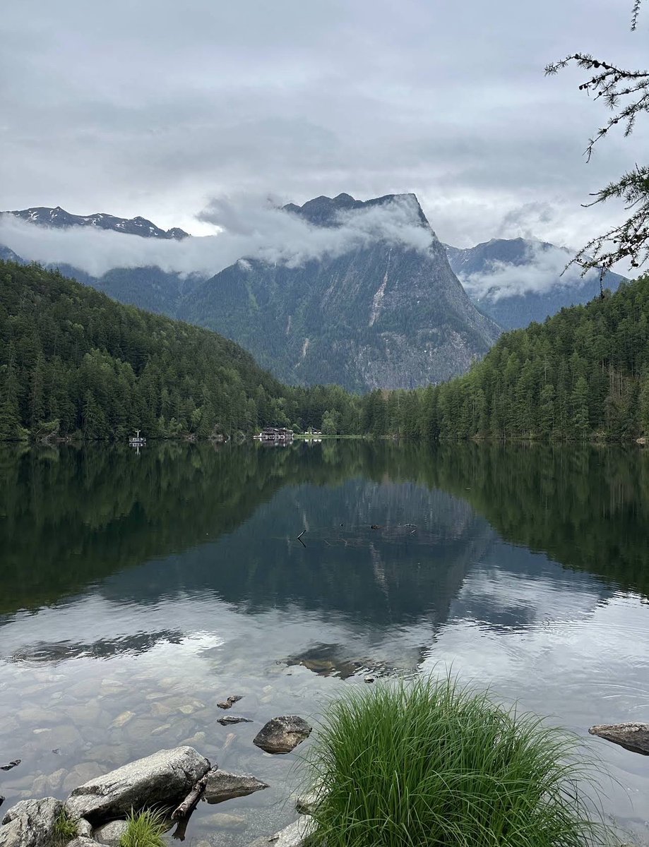 عبدالرحمن #النمسا 🇦🇹✈ tweet media