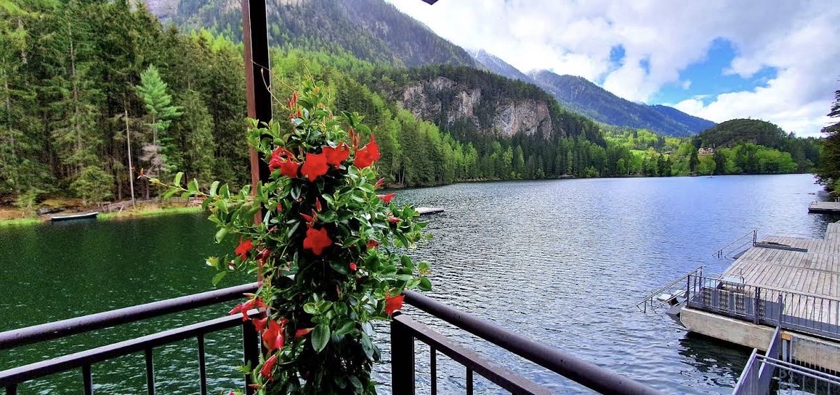 عبدالرحمن #النمسا 🇦🇹✈ tweet media