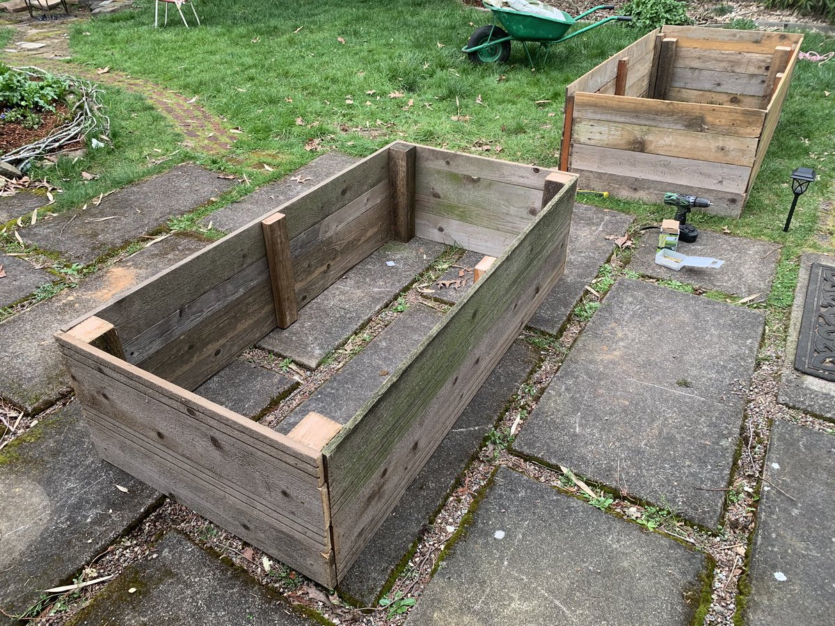 Cricket Psychopomp ΘΔ tweet media