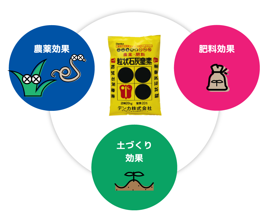 【MA部農園 新たな取り組み】
MA部農園では、石灰窒素と稲わらを活用した堆肥づくりにチャレンジします。
今回は、石灰窒素が持つ効果のひとつである**「土づくり効果」**に着目し、有機物分解の促進や土壌環境の改善を意識した実践を進めていきます。

稲わらという身近な資源を活かしながら、
✅