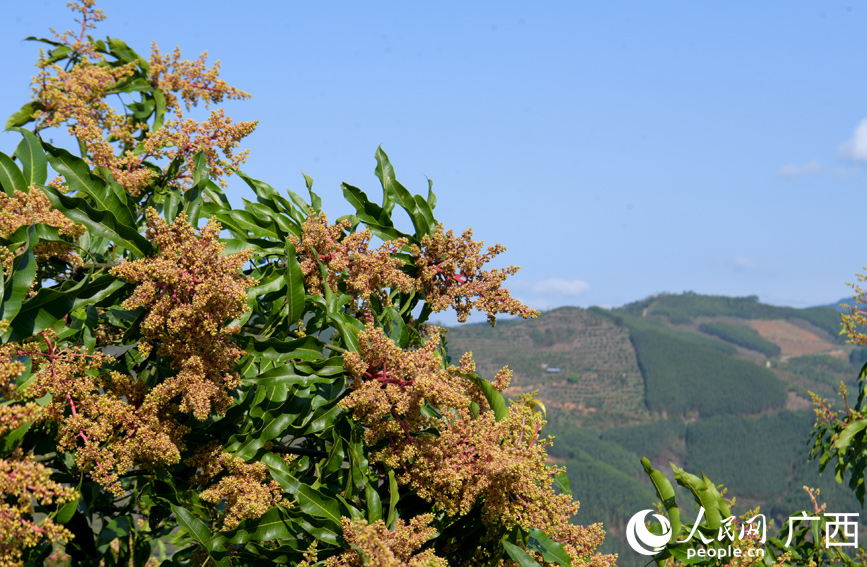 Beautiful China tweet media