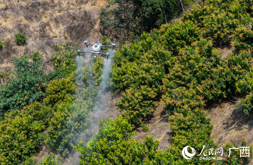 Beautiful China tweet media