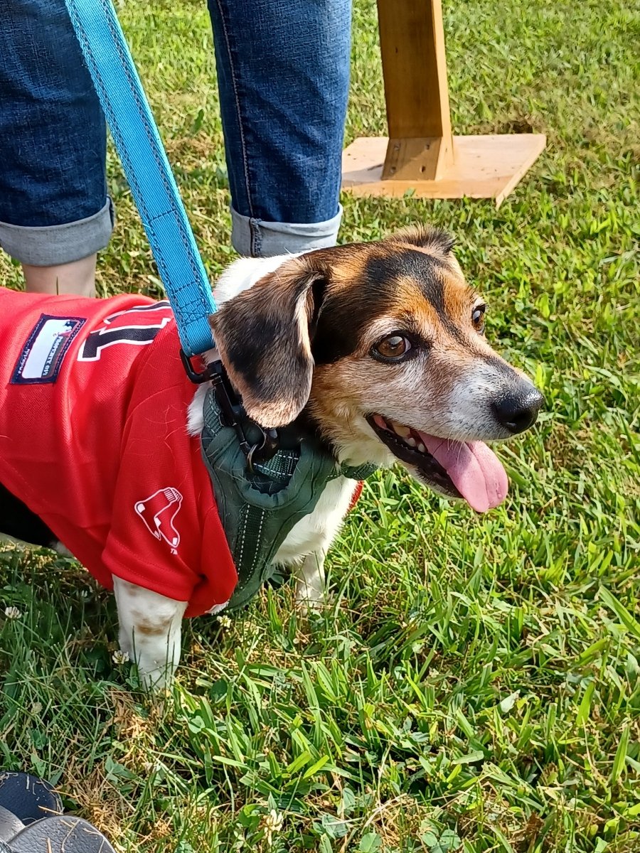 ☘️ Christa Daugherty tweet media