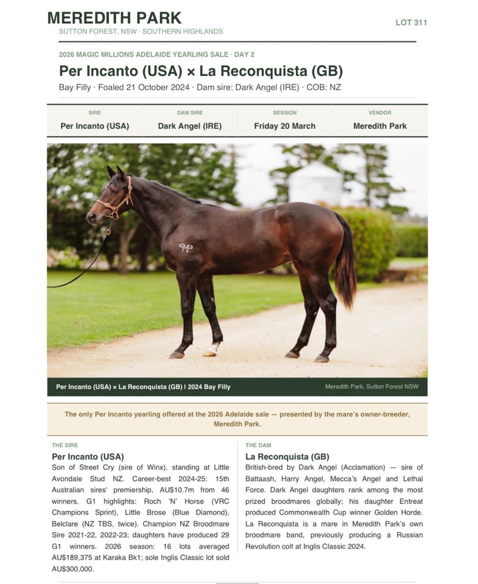 Meredith Park tweet media