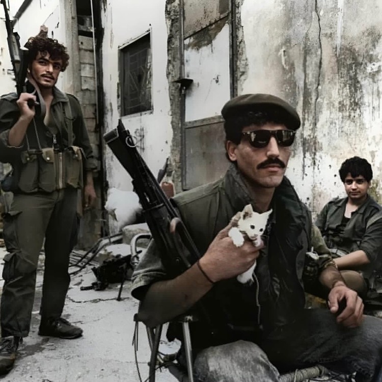 Combat Archive tweet media